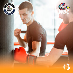 Estructura de la Sesión de Boxeo