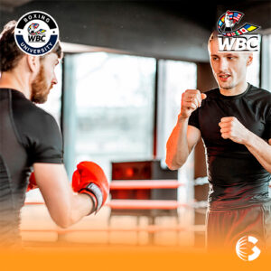 Técnicas de Boxeo