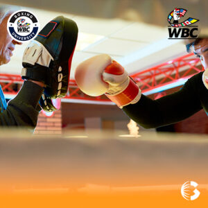 Bases y Reglas de Boxeo