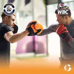 Fundamentos de la Preparación Técnico Táctico en el Boxeo Avanzado