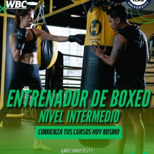 Entrenador de Boxeo Nivel Intermedio
